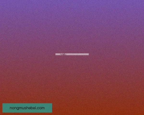 实况足球2013汉化补丁完整安装指南及常见问题解决方法