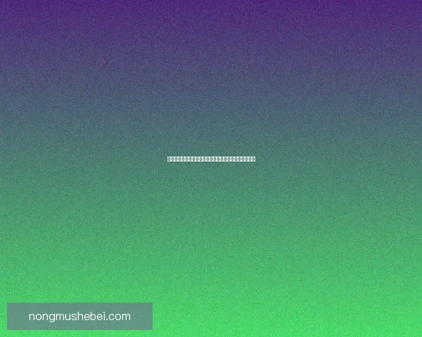 山泽仪式石与古代祭祀文化的深度探讨及其象征意义分析