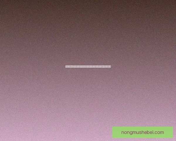 战士换武器宏使用技巧与设置方法详解，提升游戏操作效率与战斗体验