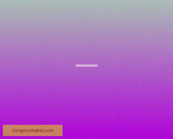 探秘食梦貘秘境：解锁第七层幻境